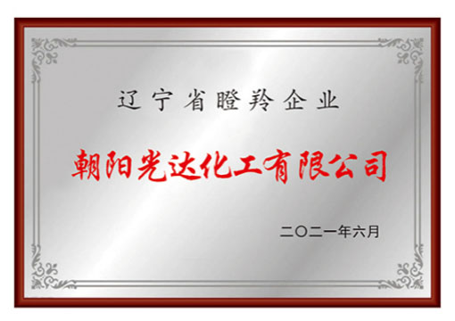 辽宁省瞪羚企业